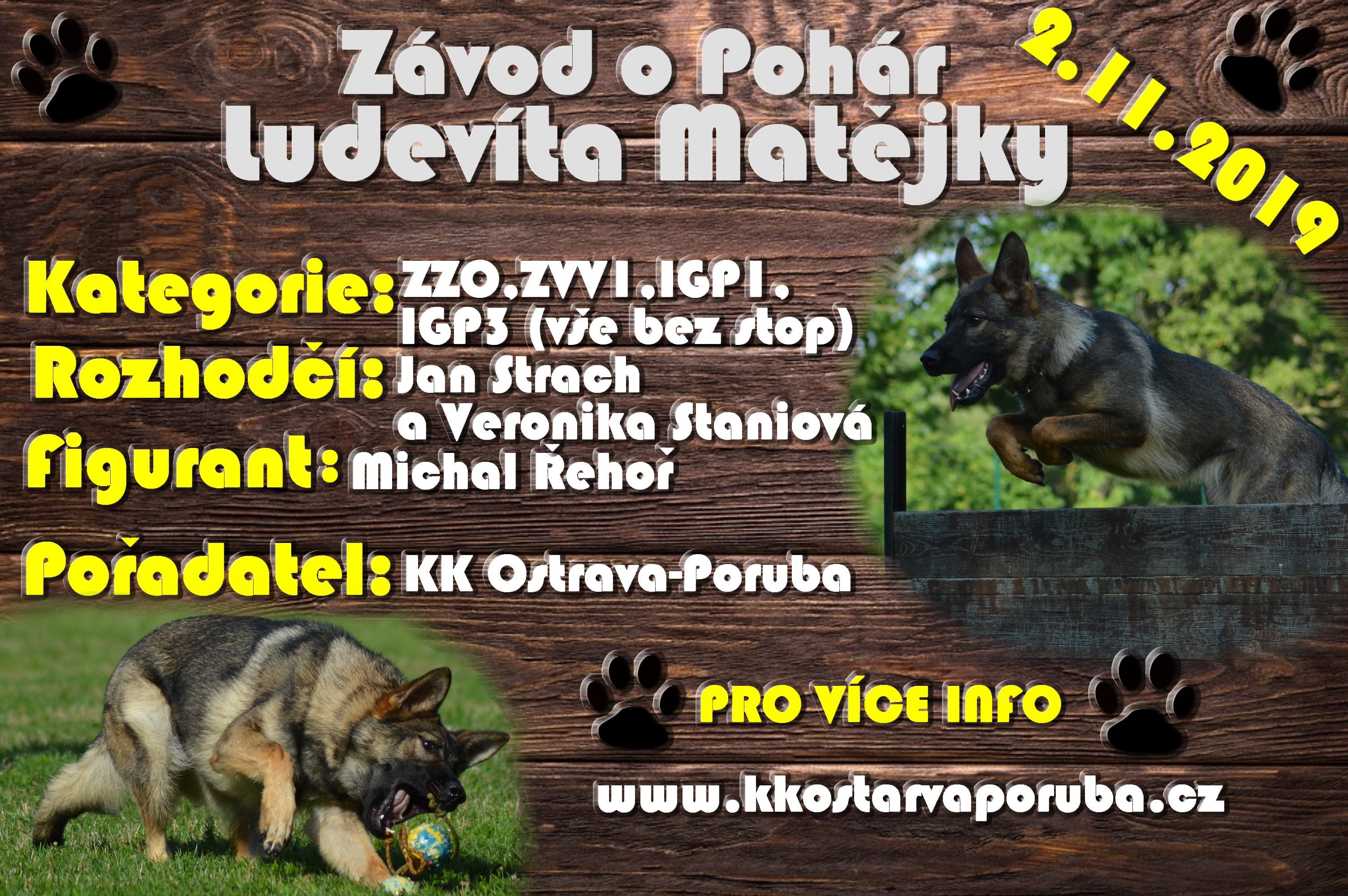 Závod o Pohár Ludevíta Matějky